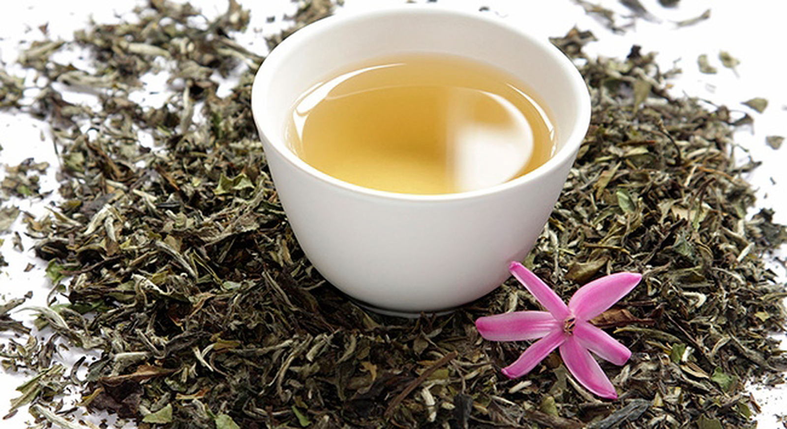 Beyaz Çay Nedir? Beyaz Çayın Faydaları Nelerdir?