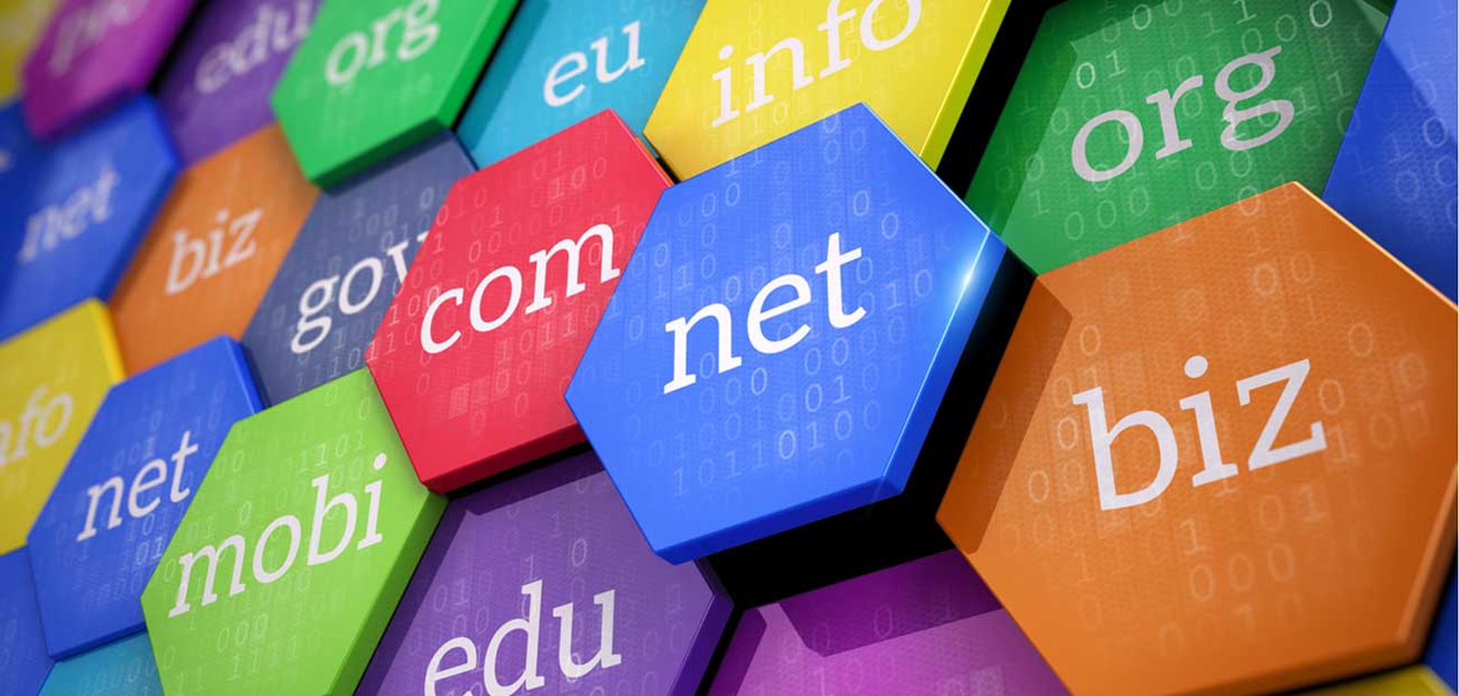 Domain Nedir? Alan Adı Uzantıları Ve Kullanım Amaçları Nelerdir?