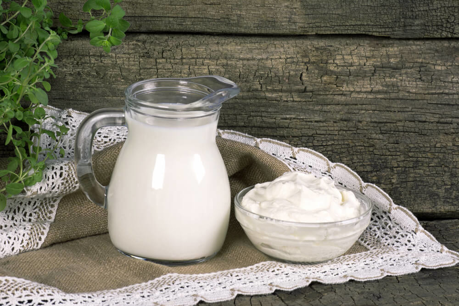 Keçi Sütü Kaç Kalori? Besin Değeri Nedir? Sağlığa Yararları Nelerdir?