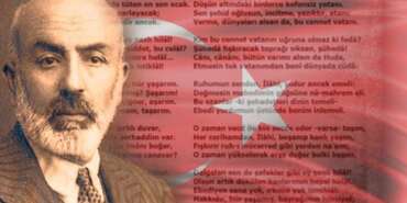 k_12183030_marY_1600x898